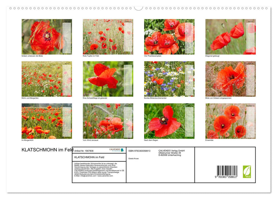 Corn poppies in the field (CALVENDO Premium Wall Calendar 2024) 