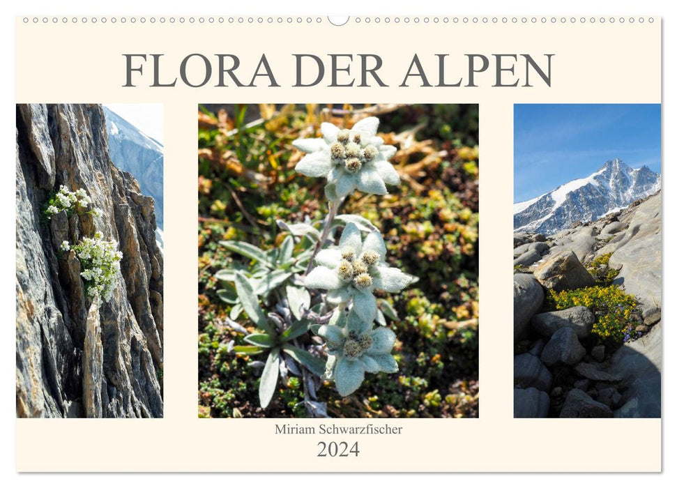 Flore des Alpes (Calendrier mural CALVENDO 2024) 