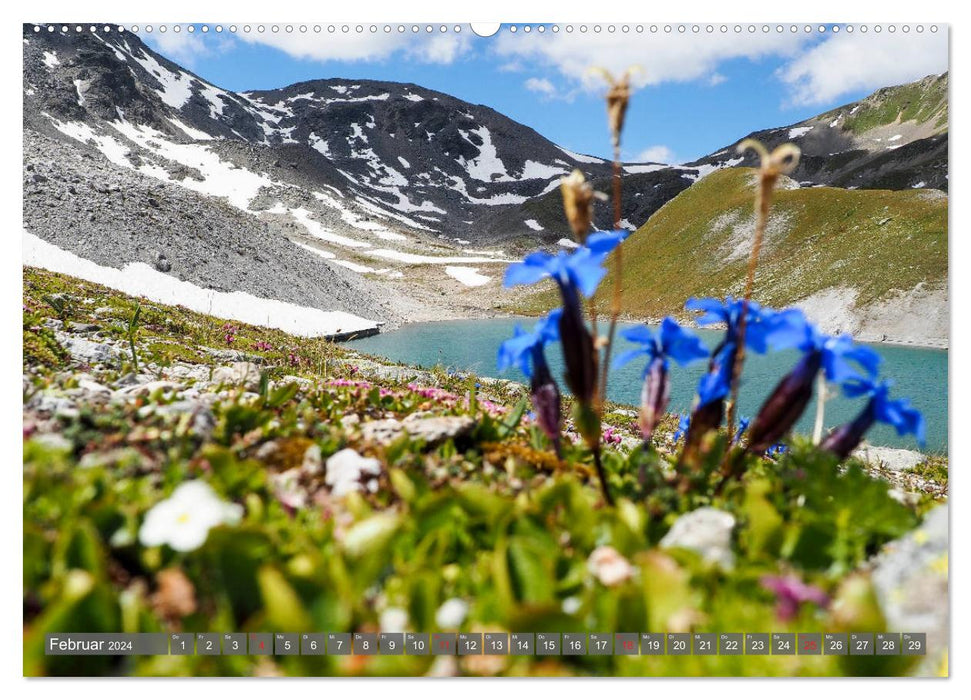Flora der Alpen (CALVENDO Wandkalender 2024)