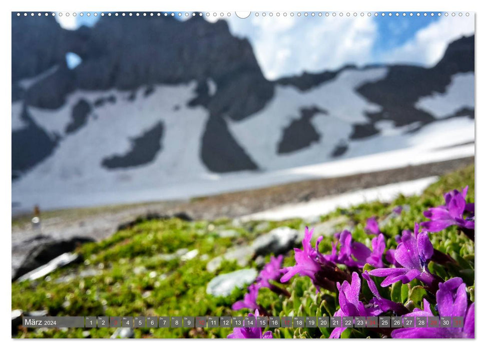 Flora der Alpen (CALVENDO Wandkalender 2024)