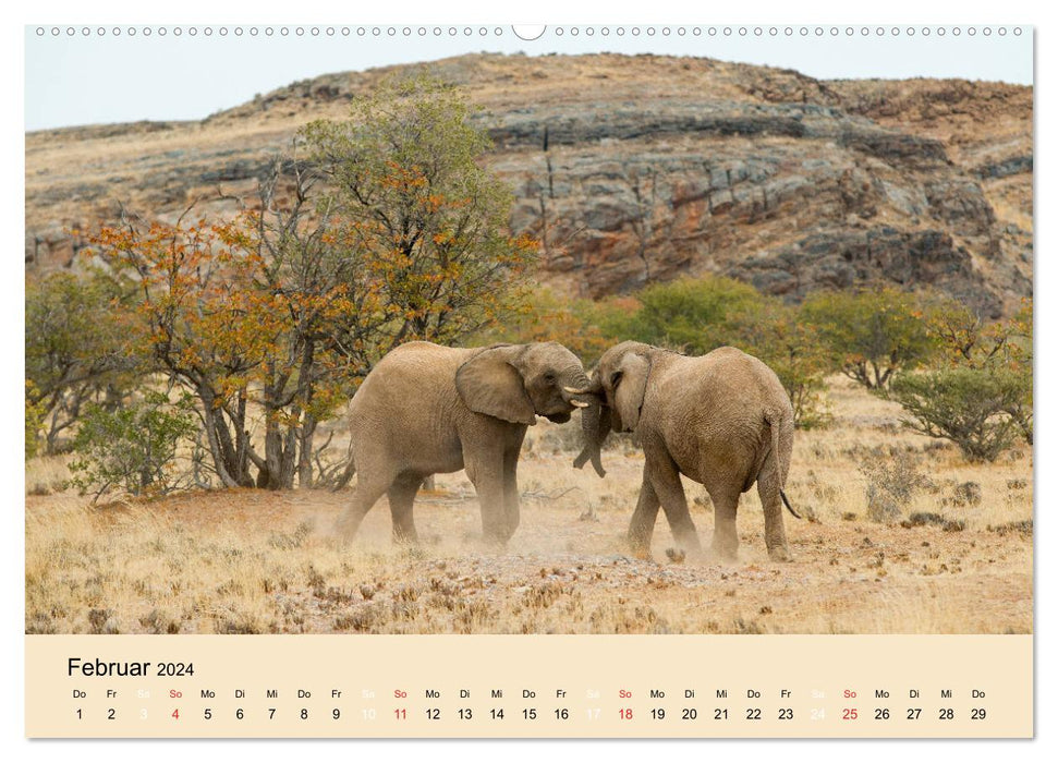 Afrikas Schwergewichte Elefant, Nashorn und Nilpferd (CALVENDO Premium Wandkalender 2024)