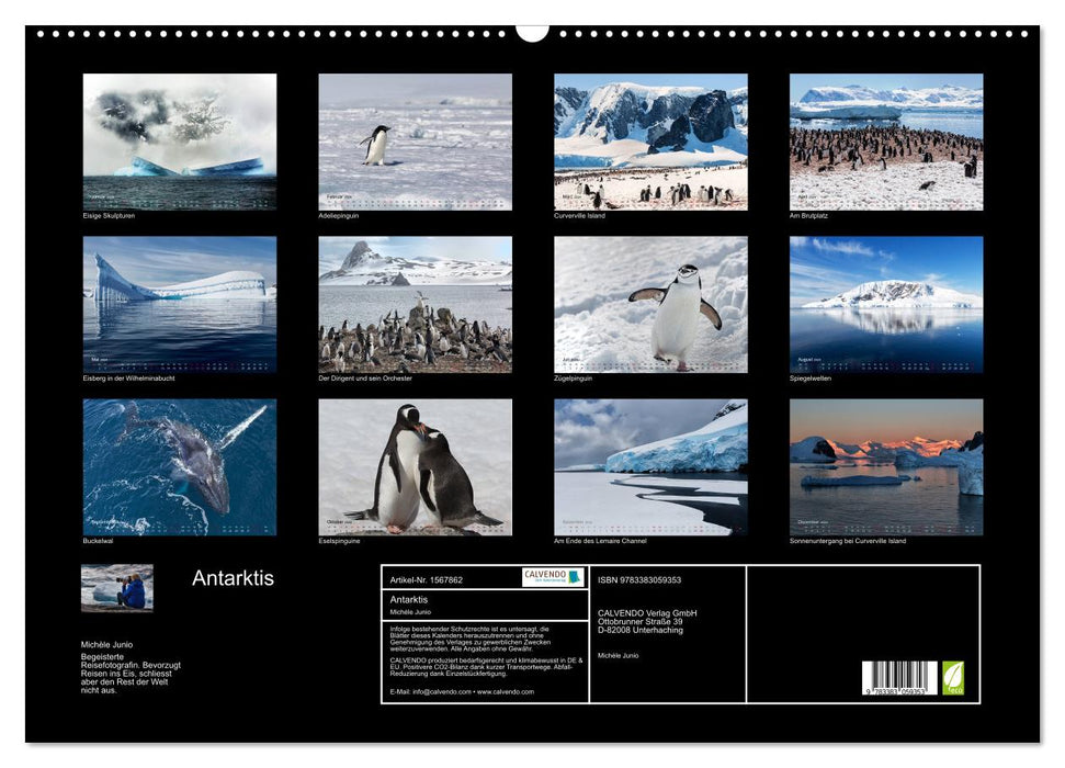 Antarctica, the icy home of penguins (CALVENDO wall calendar 2024) 