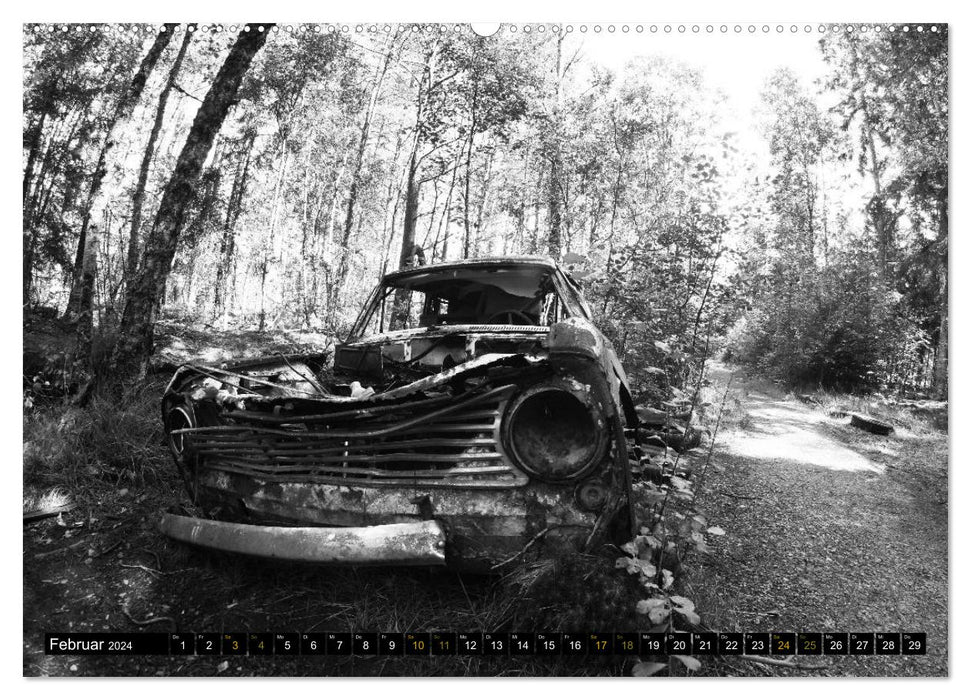 The dilapidated cars of Kyrkö Mosse (CALVENDO Premium Wall Calendar 2024) 