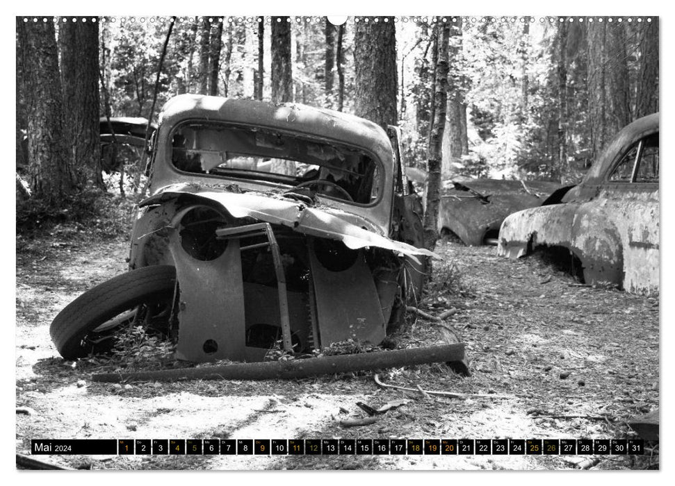 Die verfallenen Autos von Kyrkö Mosse (CALVENDO Premium Wandkalender 2024)