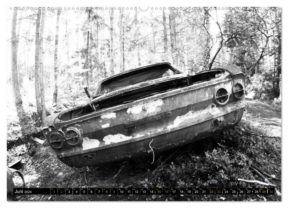 Die verfallenen Autos von Kyrkö Mosse (CALVENDO Premium Wandkalender 2024)