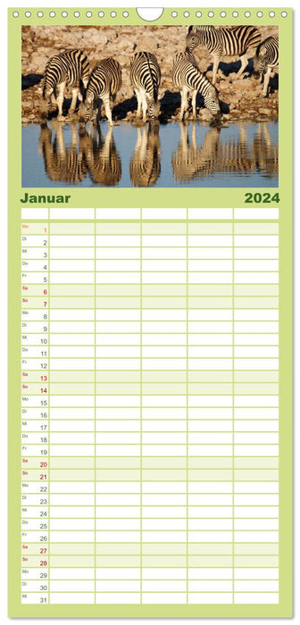 Zèbres - Fascination de la nature (Agenda familial CALVENDO 2024) 