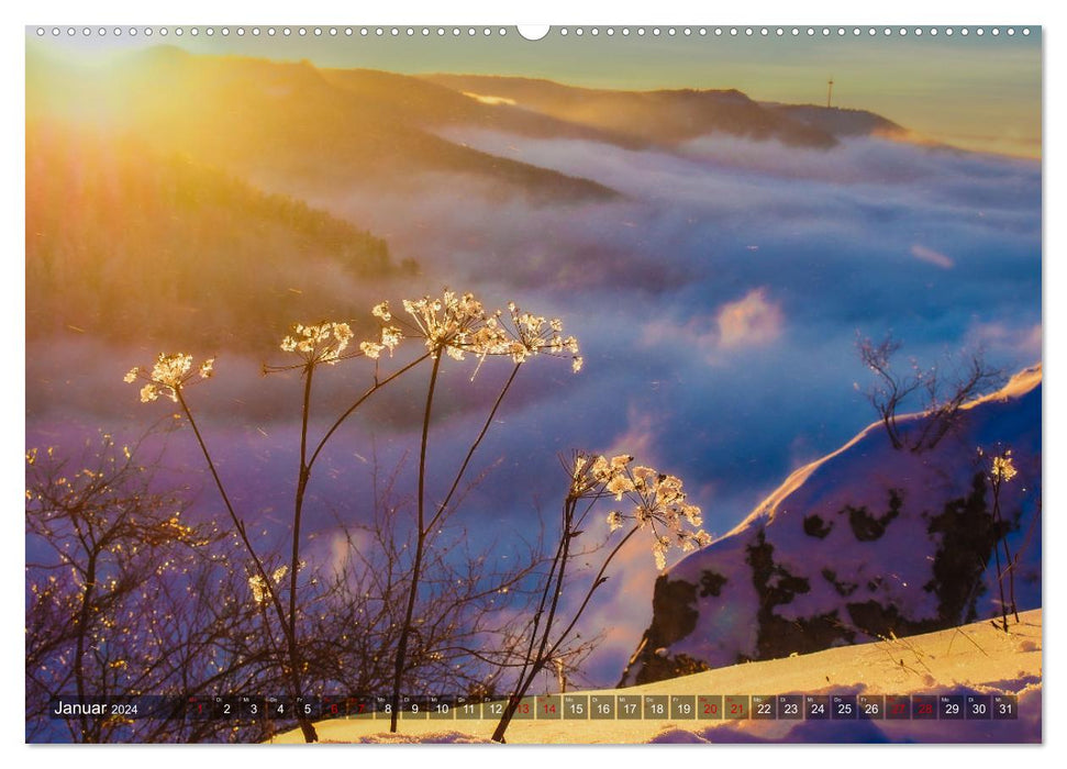 Wilde Schönheit - Raue Alb (CALVENDO Premium Wandkalender 2024)