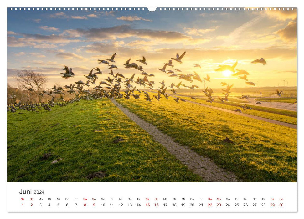 Foray along the North Sea coast (CALVENDO Premium Wall Calendar 2024) 