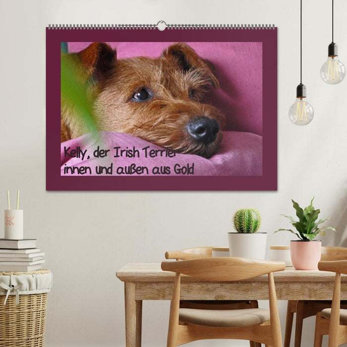 Kelly, der Irish Terrier - innen und außen aus Gold (CALVENDO Wandkalender 2024)