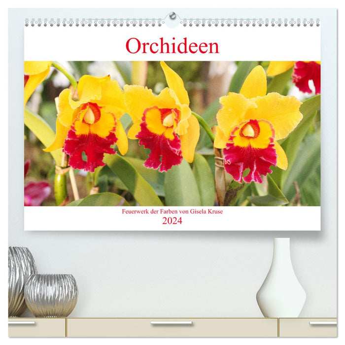 Orchids Fireworks of Colors (CALVENDO Premium Wall Calendar 2024) 