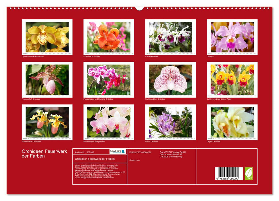 Orchids Fireworks of Colors (CALVENDO Premium Wall Calendar 2024) 