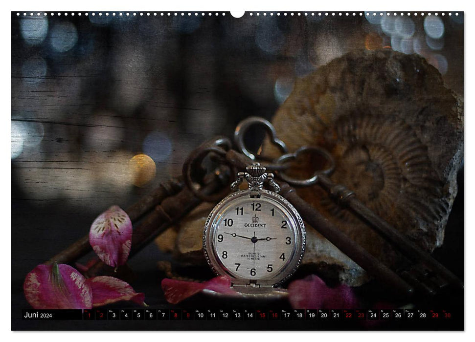 Time - Zeit - Tempus (CALVENDO Premium Wandkalender 2024)