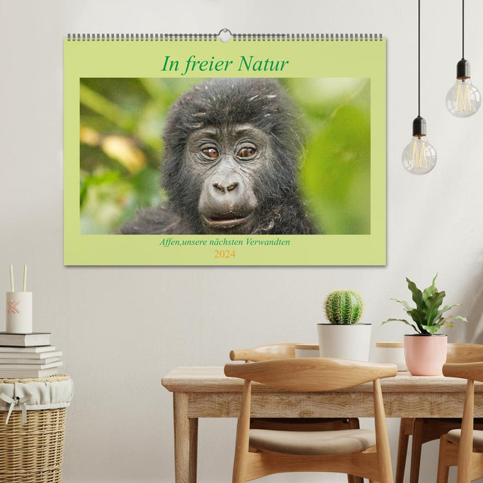 In freier Natur Affen, unsere nächsten Verwandten (CALVENDO Wandkalender 2024)