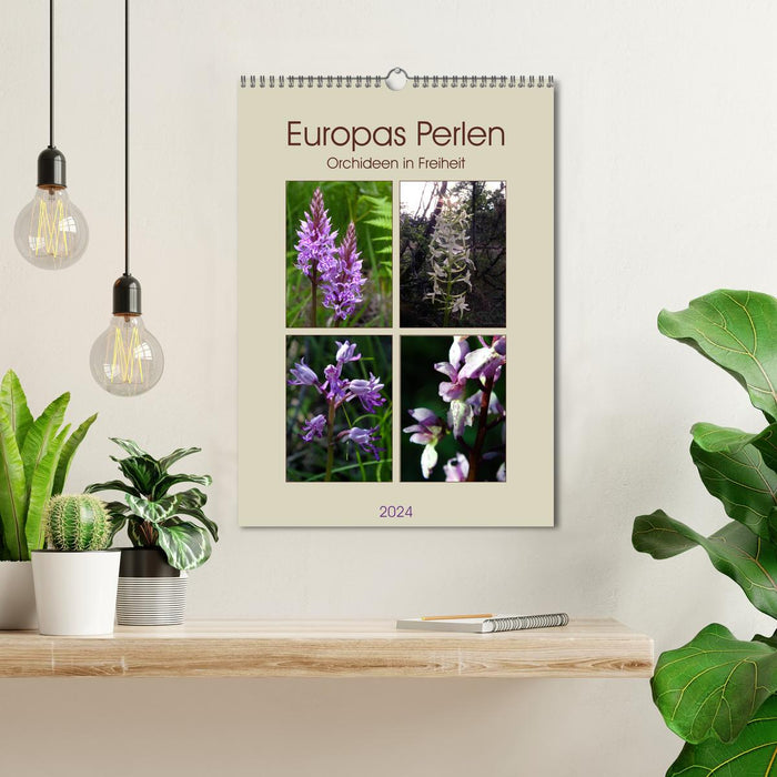 Europe's Pearls (CALVENDO Wall Calendar 2024) 