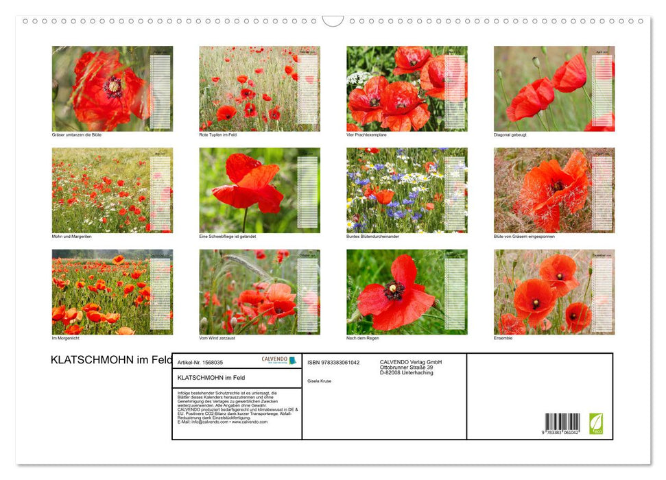 Corn poppies in the field (CALVENDO wall calendar 2024) 