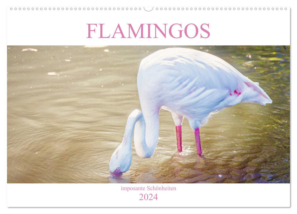 Flamingos - imposante Schönheiten (CALVENDO Wandkalender 2024)