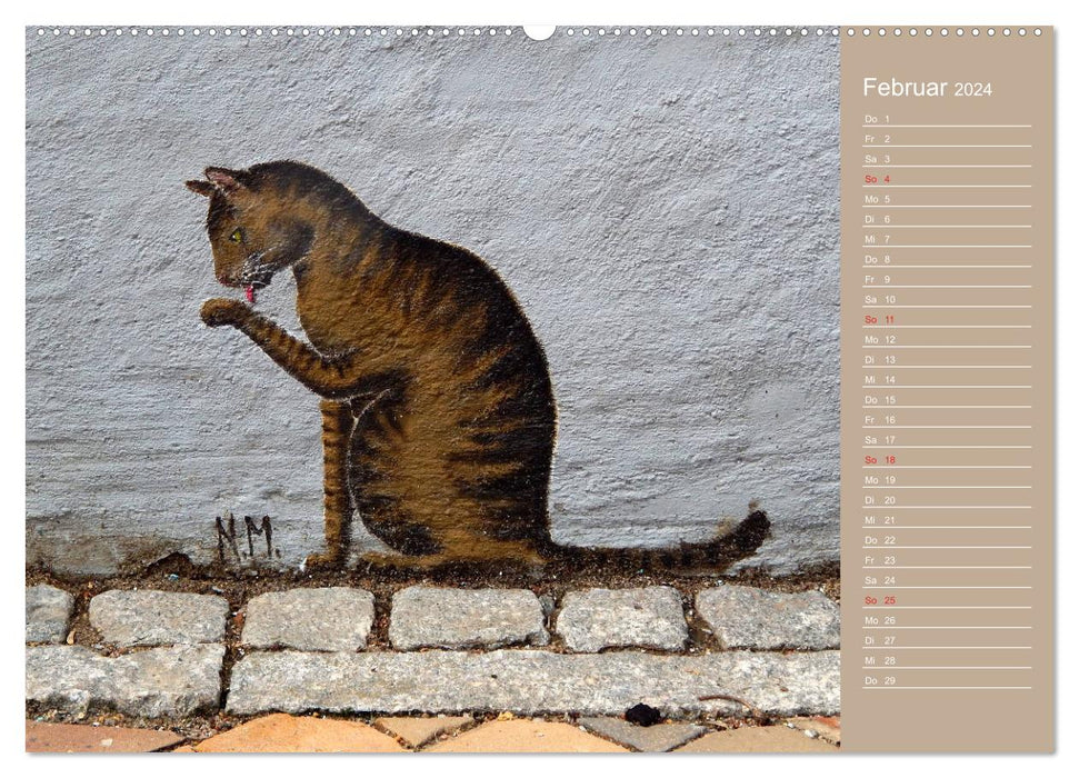 Flensburger Katzen (CALVENDO Premium Wandkalender 2024)