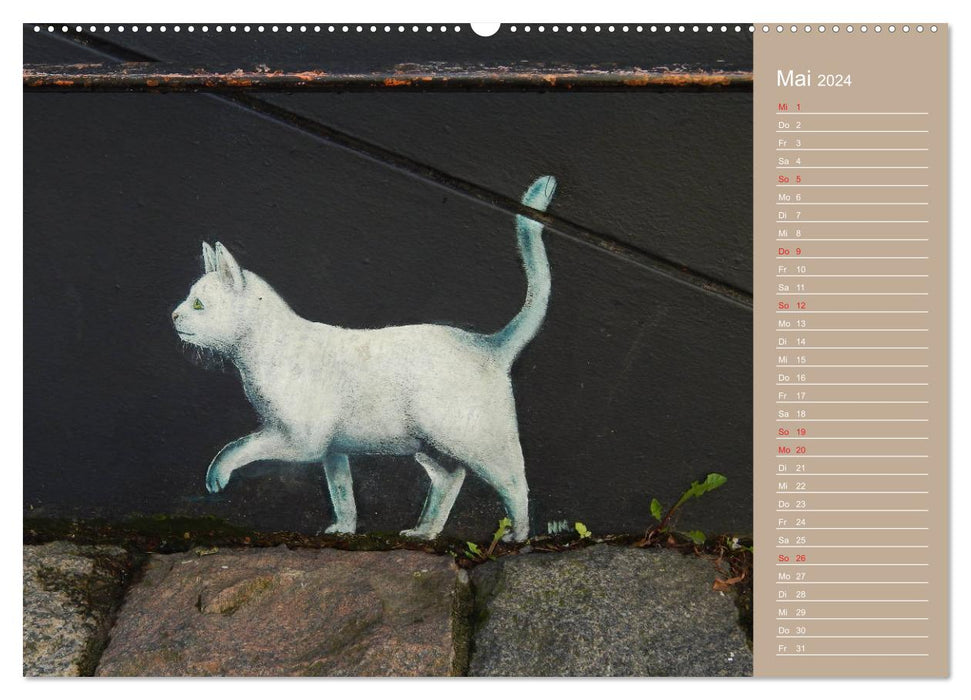 Flensburg Cats (CALVENDO Premium Wall Calendar 2024) 