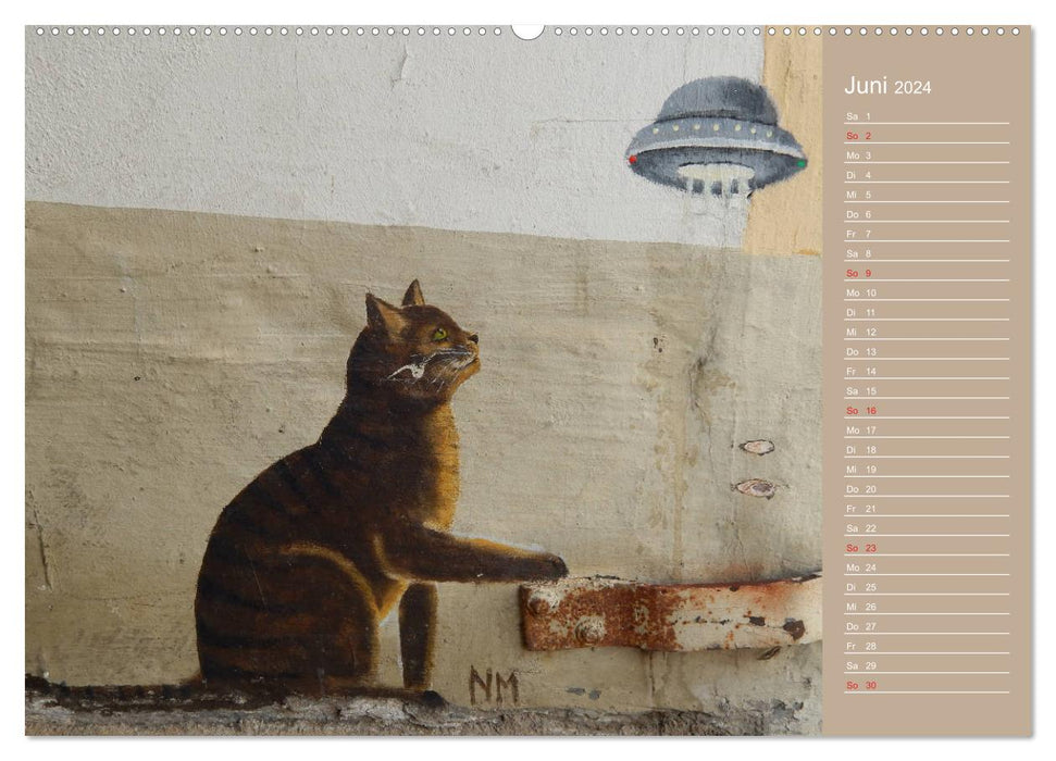 Flensburger Katzen (CALVENDO Premium Wandkalender 2024)