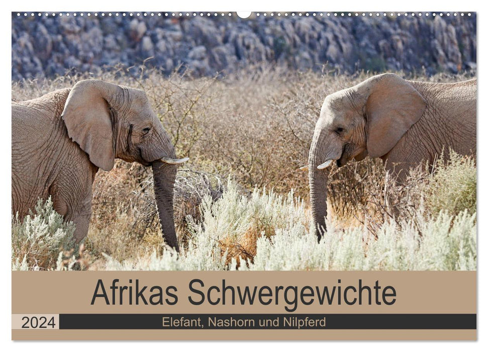 Afrikas Schwergewichte Elefant, Nashorn und Nilpferd (CALVENDO Wandkalender 2024)
