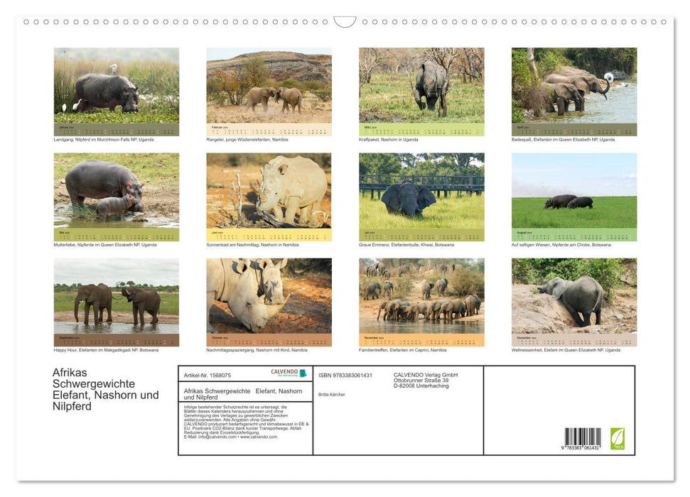 Afrikas Schwergewichte Elefant, Nashorn und Nilpferd (CALVENDO Wandkalender 2024)