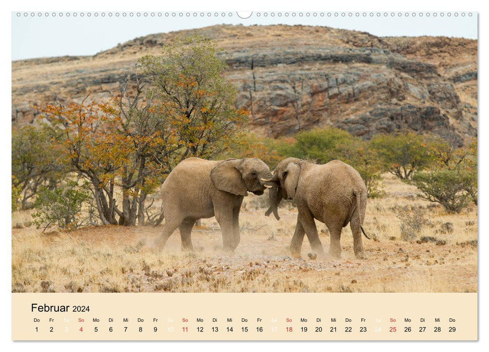 Afrikas Schwergewichte Elefant, Nashorn und Nilpferd (CALVENDO Wandkalender 2024)