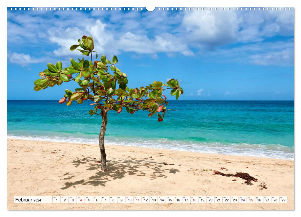 Windward Islands (CALVENDO Premium Wall Calendar 2024) 