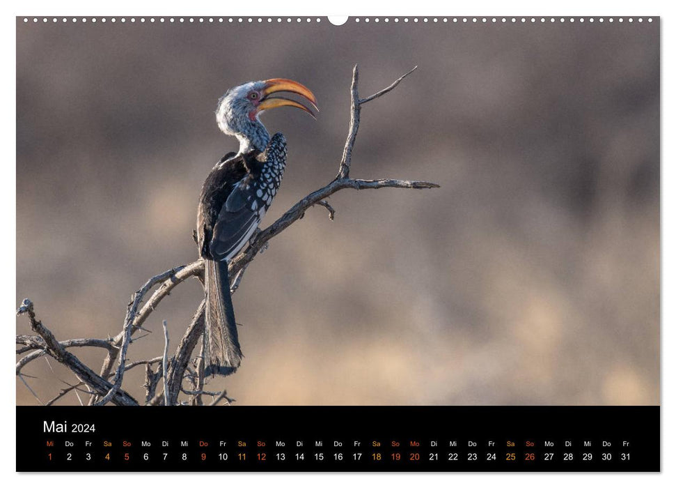 Namibia - einzigartige Tierwelt (CALVENDO Premium Wandkalender 2024)