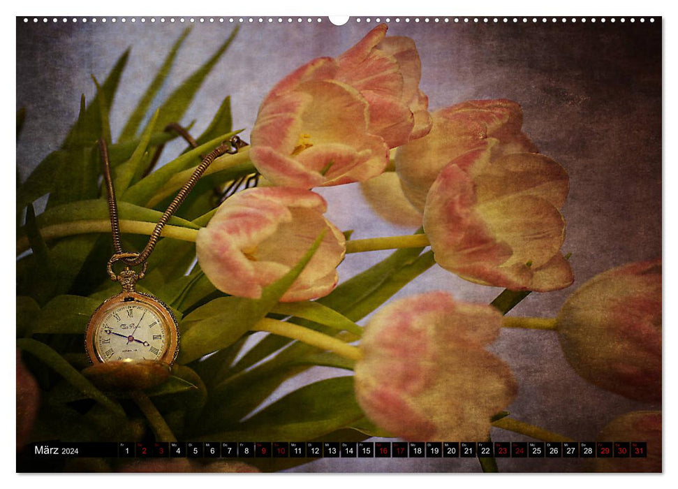 Time - Zeit - Tempus (CALVENDO Wandkalender 2024)