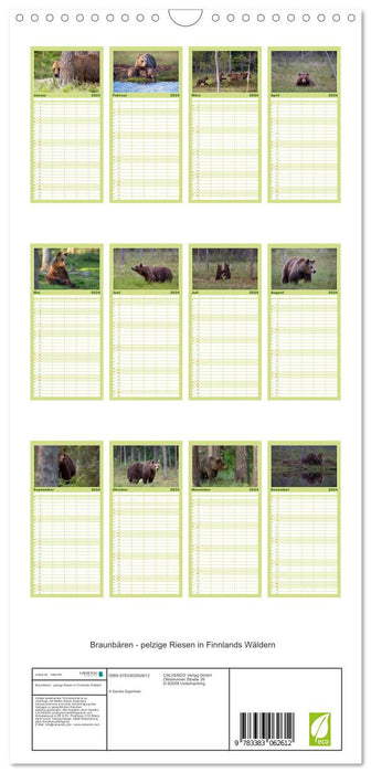 Ours bruns - géants à fourrure dans les forêts finlandaises (Planificateur familial CALVENDO 2024) 