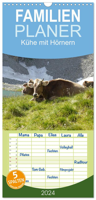Vaches à cornes (Agenda familial CALVENDO 2024) 