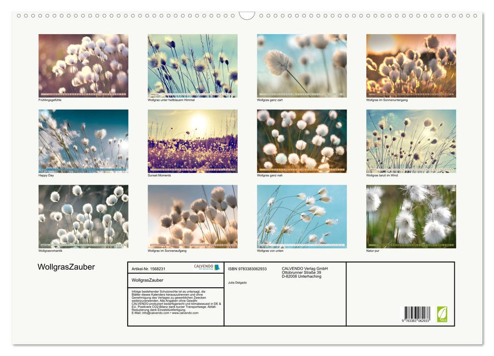 Cotton grass magic (CALVENDO wall calendar 2024) 
