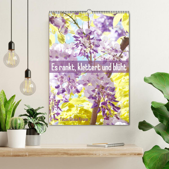 It twines, climbs and blooms (CALVENDO wall calendar 2024) 