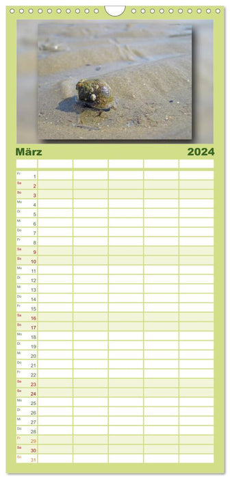 Baltrum - Une journée à la plage (Agenda familial CALVENDO 2024) 