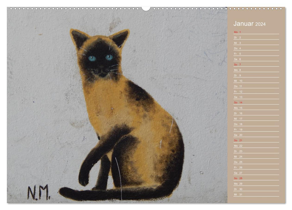Flensburg cats (CALVENDO wall calendar 2024) 