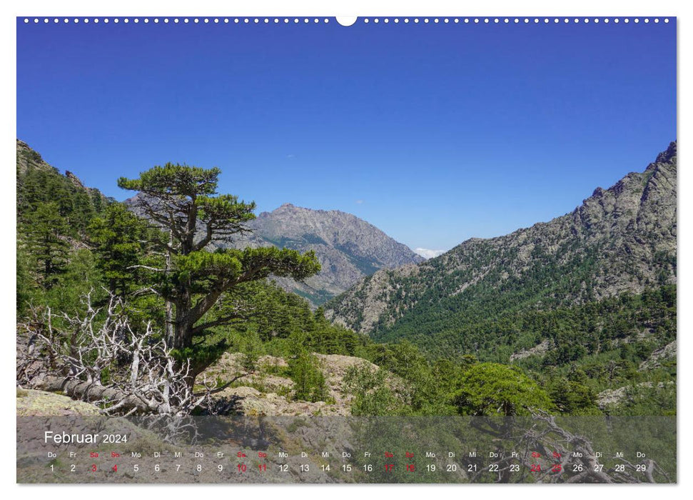 Corsica - Fascinating landscapes (CALVENDO Premium Wall Calendar 2024) 