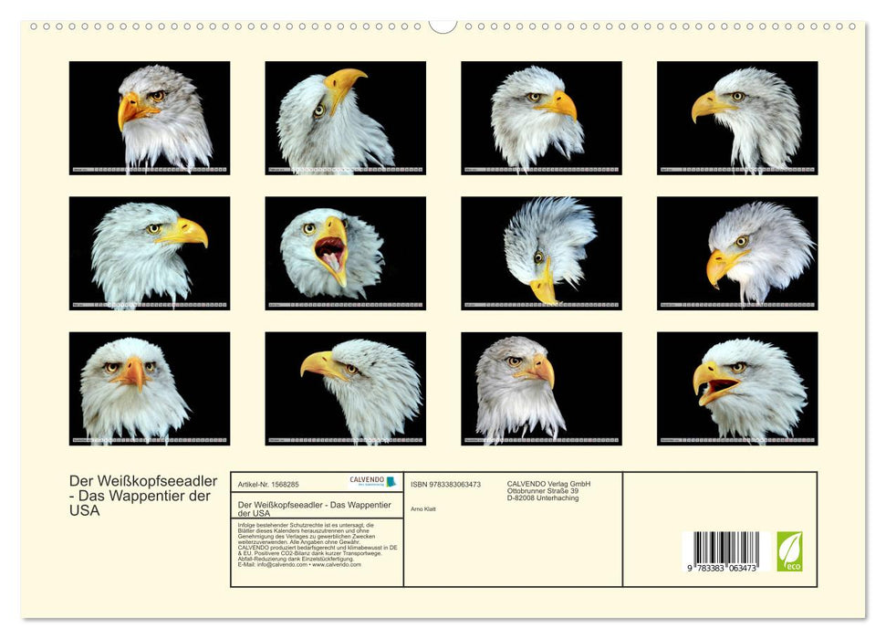 Der Weißkopfseeadler - Das Wappentier der USA (CALVENDO Premium Wandkalender 2024)