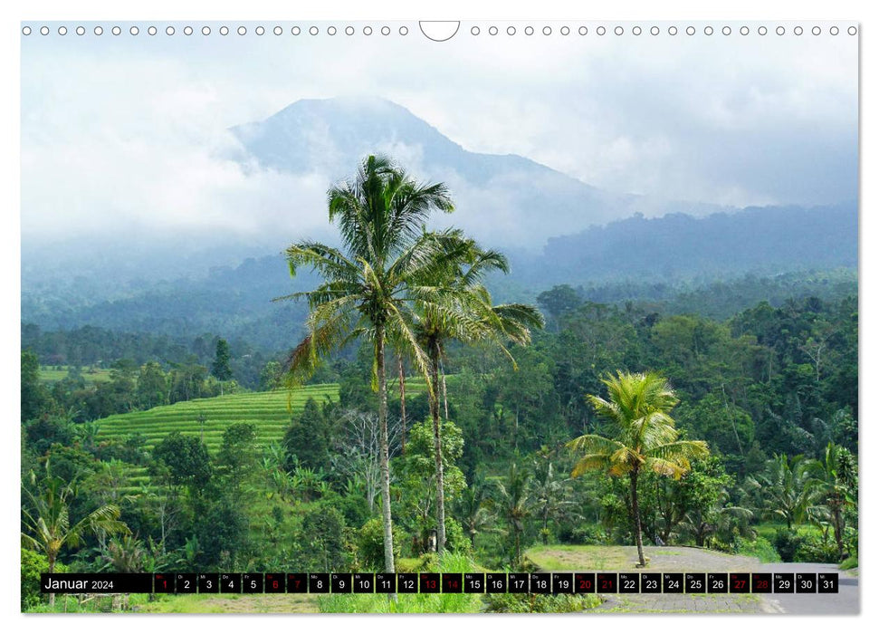 Bali. Au royaume des dieux (Calendrier mural CALVENDO 2024) 