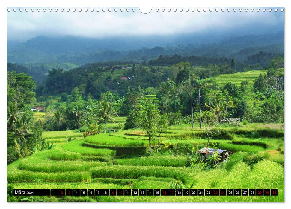 Bali. Au royaume des dieux (Calendrier mural CALVENDO 2024) 