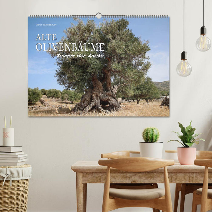 OLD OLIVE TREES witnesses to antiquity (CALVENDO wall calendar 2024) 