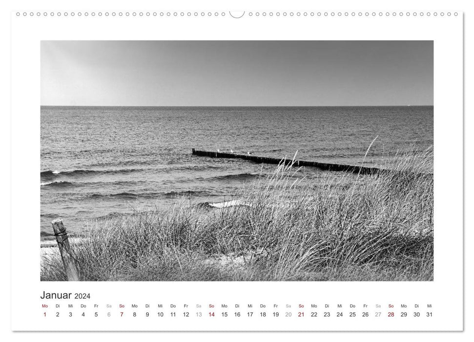 Monochrom Meer (CALVENDO Premium Wandkalender 2024)