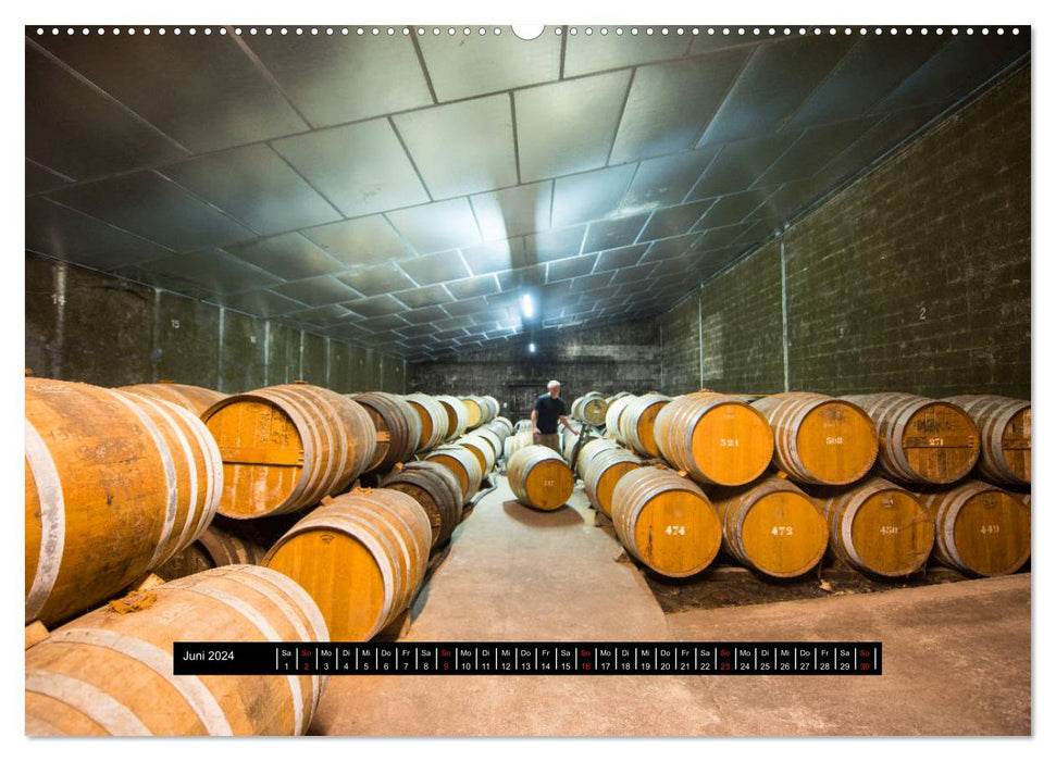 Cognac - pure Magie (CALVENDO Wandkalender 2024)