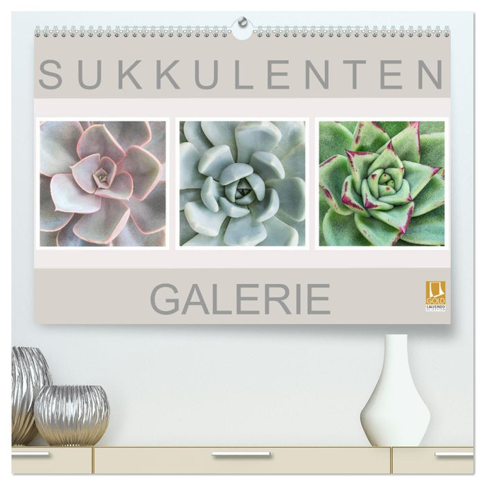 Sukkulenten Galerie (CALVENDO Premium Wandkalender 2024)