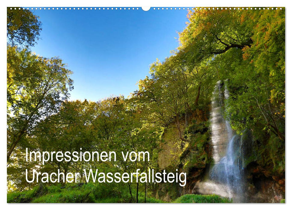 Impressions from the Uracher Wasserfallsteig (CALVENDO wall calendar 2024) 