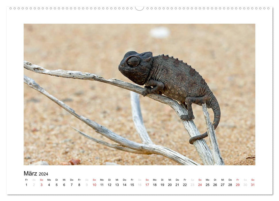 Namibia - deserts, expanse, colors (CALVENDO Premium Wall Calendar 2024) 