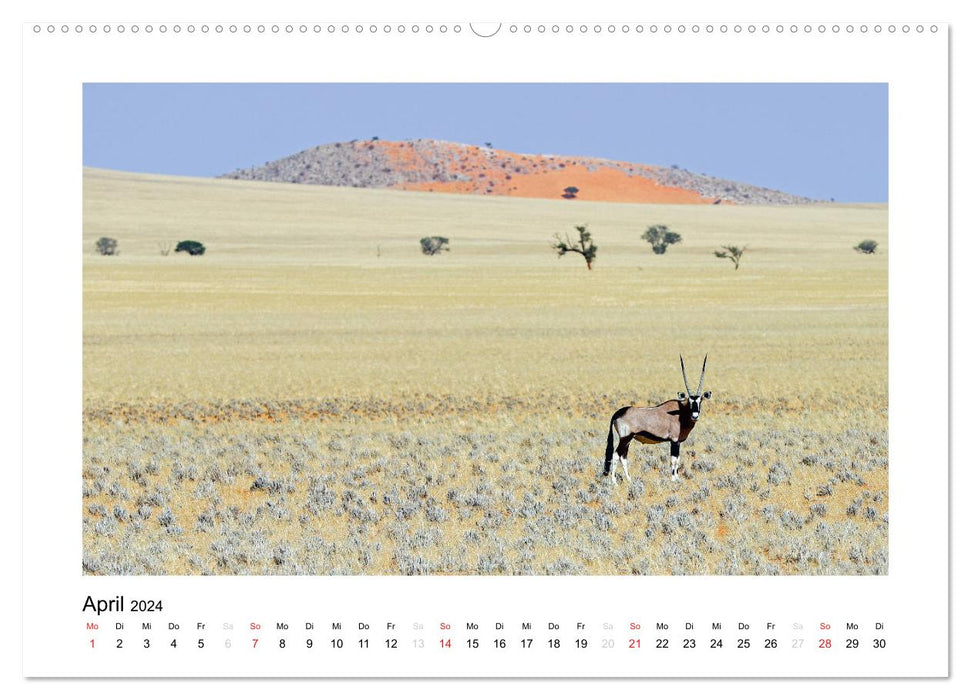 Namibia - Wüsten, Weite, Farben (CALVENDO Premium Wandkalender 2024)
