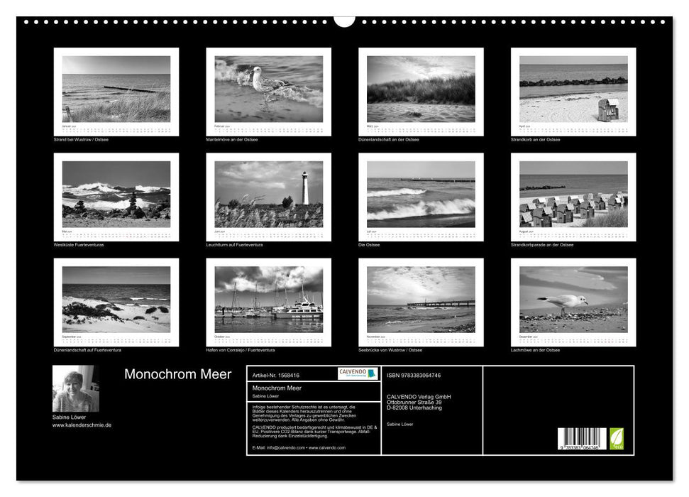 Monochrom Meer (CALVENDO Wandkalender 2024)