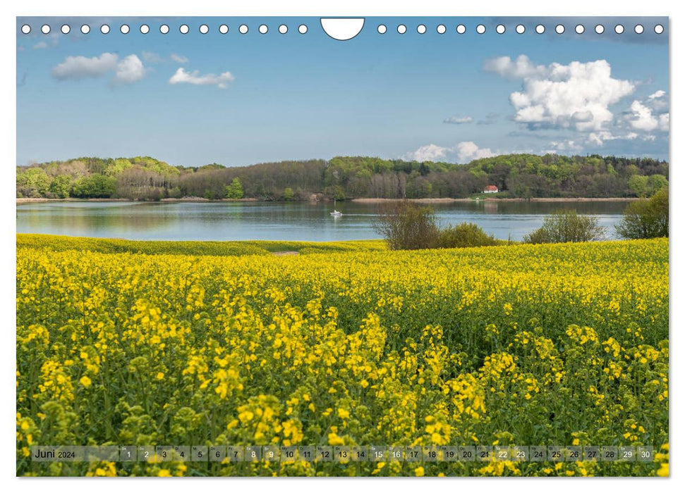 Meine Schlei 2024 (CALVENDO Wandkalender 2024)