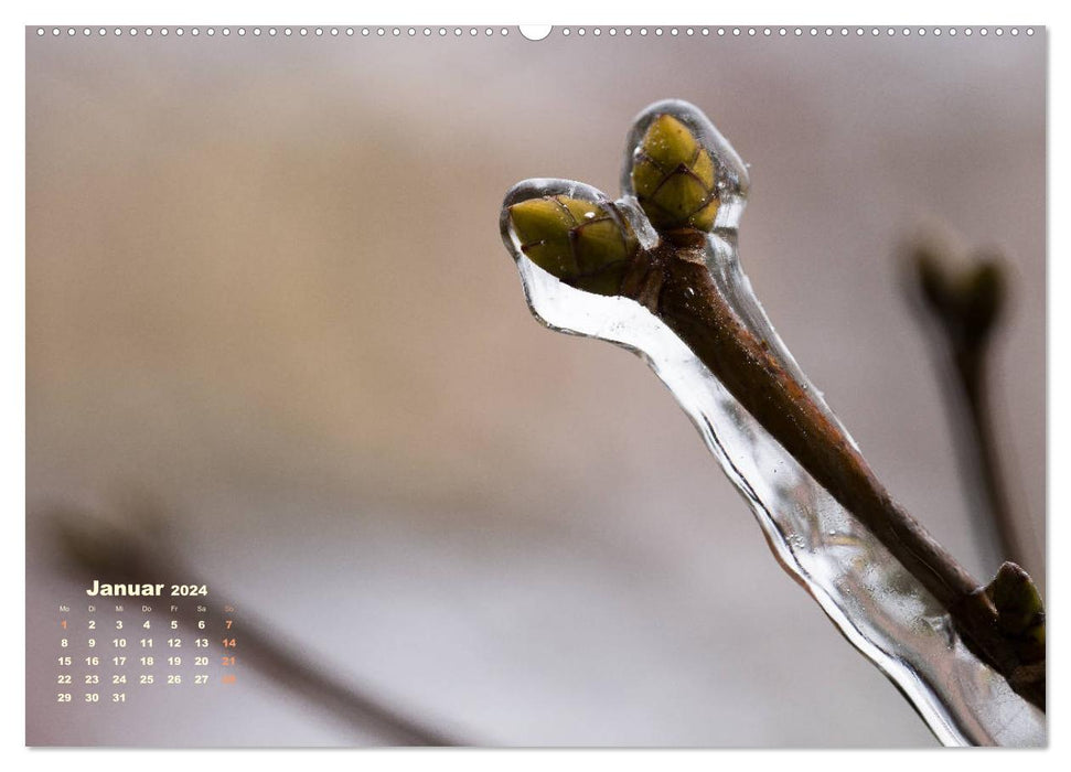 Kleine Begegnungen (CALVENDO Wandkalender 2024)