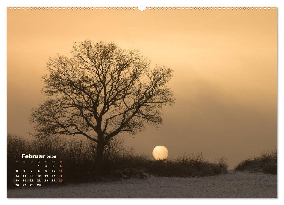 Small encounters (CALVENDO wall calendar 2024) 